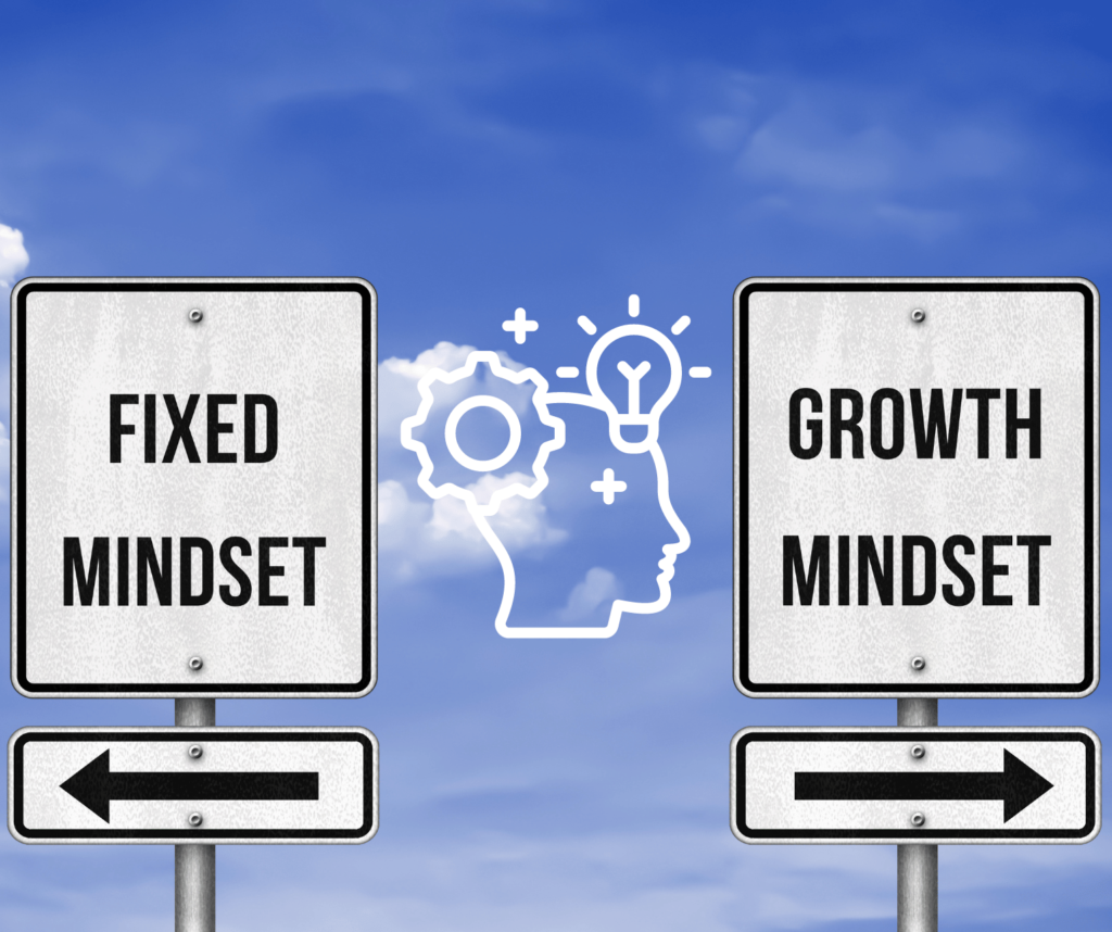 Embracing a Growth Mindset